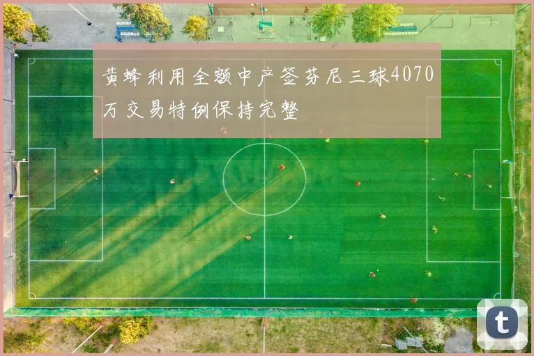 黄蜂利用全额中产签芬尼三球4070万交易特例保持完整